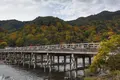 渡月橋の写真_639624