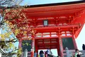 清水寺の写真_640561