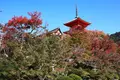 清水寺の写真_640562