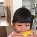 ASO SWEET CORN 阿蘇の森の写真_641471