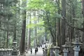 三峯神社の写真_641571