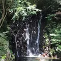 天成園の写真_641927