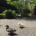 天成園の写真_641928