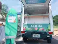 Laule'a Shrimp（ラウレアシュリンプ）の写真_642662