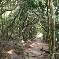 芥屋の大門公園の写真_642679