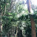 芥屋の大門公園の写真_642682
