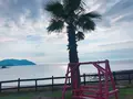 パームビーチ・ザ・ガーデンズ（PALM BEACH THE GARDENS）の写真_642913
