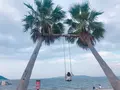 ヤシの木ブランコの写真_642925