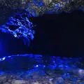 鳴沢氷穴の写真_644230
