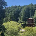 長谷寺の写真_644965