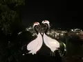 稲佐山展望台の写真_645975