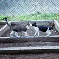 佐柳島の写真_648392