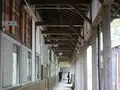 ネコノシマホステルの写真_648407