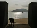 佐柳島の写真_648411