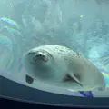 海遊館の写真_650091