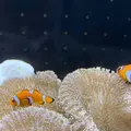 海遊館の写真_650094