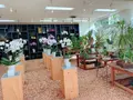 花のがっこうの写真_650416