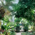 花のがっこうの写真_650423