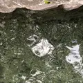 青木湖大向キャンプ場の写真_651122