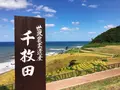 白米千枚田の写真_652515