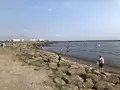 葛西臨海公園の写真_652535