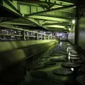 中の島公園の写真_652557