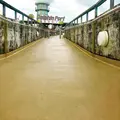 ドルフィンポートの写真_653004