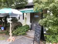 BLUE LEAFの写真_653438