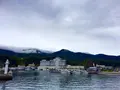 知床観光船の写真_653617