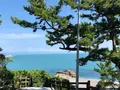桂浜の写真_656487