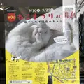 神田明神の写真_657168