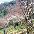 アカオハーブ＆ローズガーデンの写真_657731