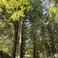 光前寺の写真_658249