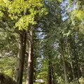 光前寺の写真_658418