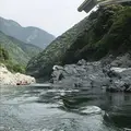 大歩危・小歩危の写真_658465