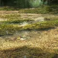 立山黒部アルペンルートの写真_658971