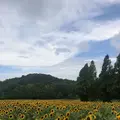 世羅高原農場の写真_661322