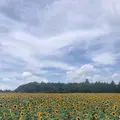 世羅高原農場の写真_661324