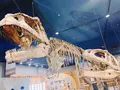 名古屋市科学館の写真_661977