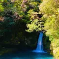 にこ淵の写真_663038