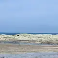 千畳敷の写真_663442