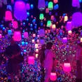 【閉業】森ビルデジタルアートミュージアム：エプソン チームラボボーダレス（MORI Building Digital Art Museum: EPSON teamLab Borderless）の写真_663833
