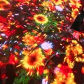 【閉業】森ビルデジタルアートミュージアム：エプソン チームラボボーダレス（MORI Building Digital Art Museum: EPSON teamLab Borderless）の写真_663834