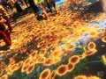 【閉業】森ビルデジタルアートミュージアム：エプソン チームラボボーダレス（MORI Building Digital Art Museum: EPSON teamLab Borderless）の写真_663836