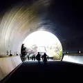 ミホミュージアム（バス）の写真_664273