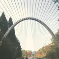ミホミュージアム（バス）の写真_664275