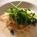 pasta.ハチトバーブの写真_664293