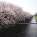 天神川の写真_664300