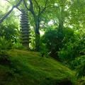 瑠璃光院の写真_664320