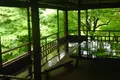 瑠璃光院の写真_664321